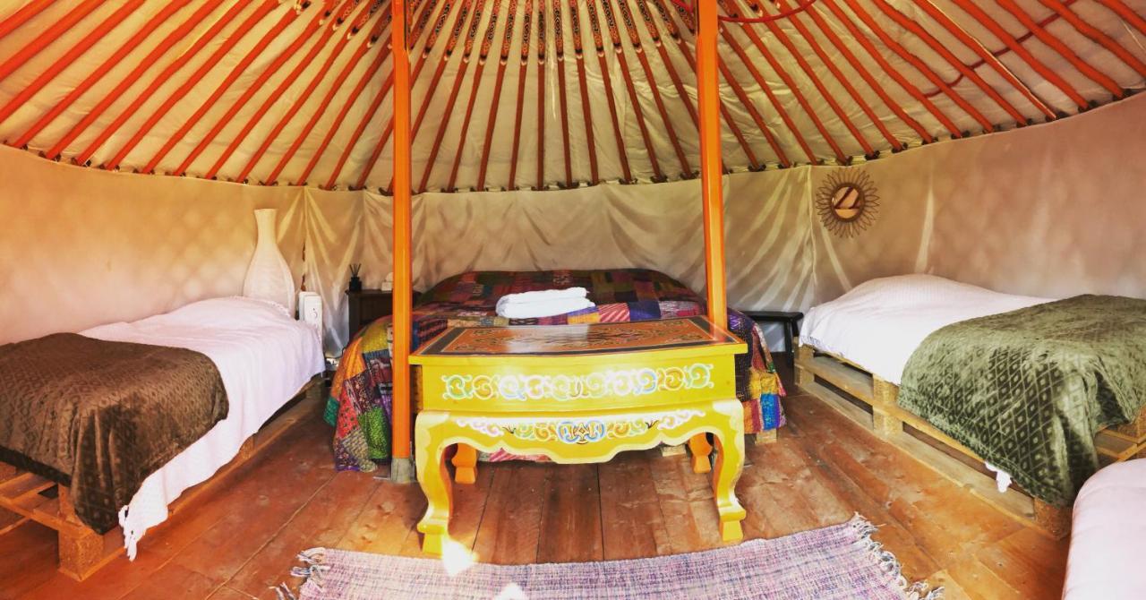 Les Colombines Bed & Breakfast Hombleux Exterior foto