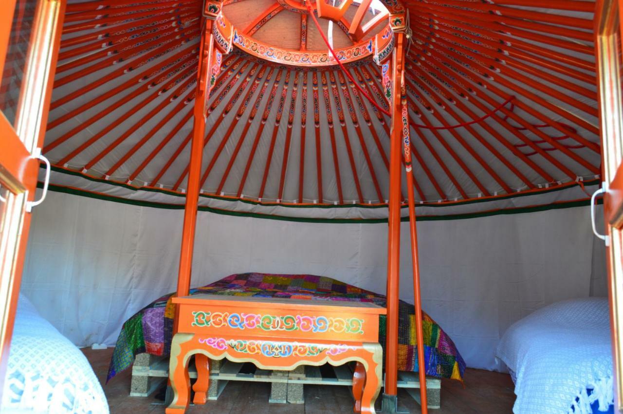 Les Colombines Bed & Breakfast Hombleux Exterior foto